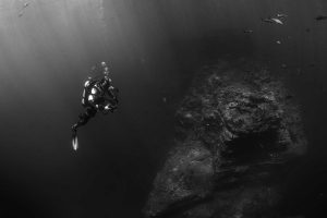 Quasi praesentium eos provident