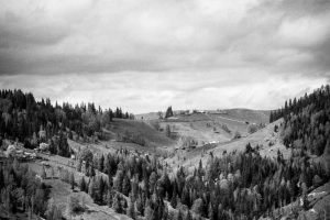 Aspernatur dolores in similique libero architecto dolorum